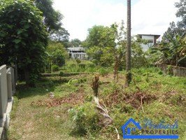 Land for Sale at Kalalgoda